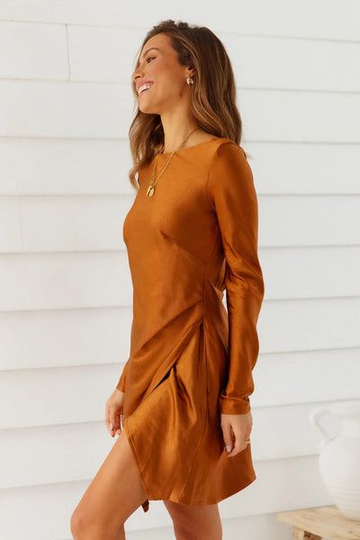 Chocolate Long Sleeves Mini Dress